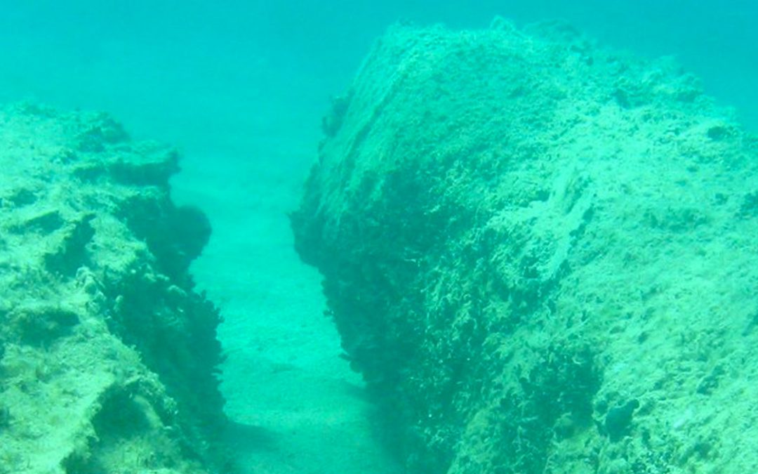 Le colonne greco-romane di marmo cipollino di Porto Cesareo